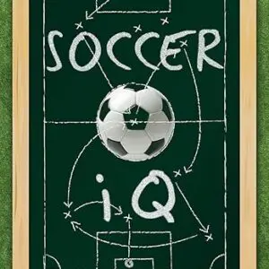 Front Cover of a book, features a soccer field and a Soccer ball