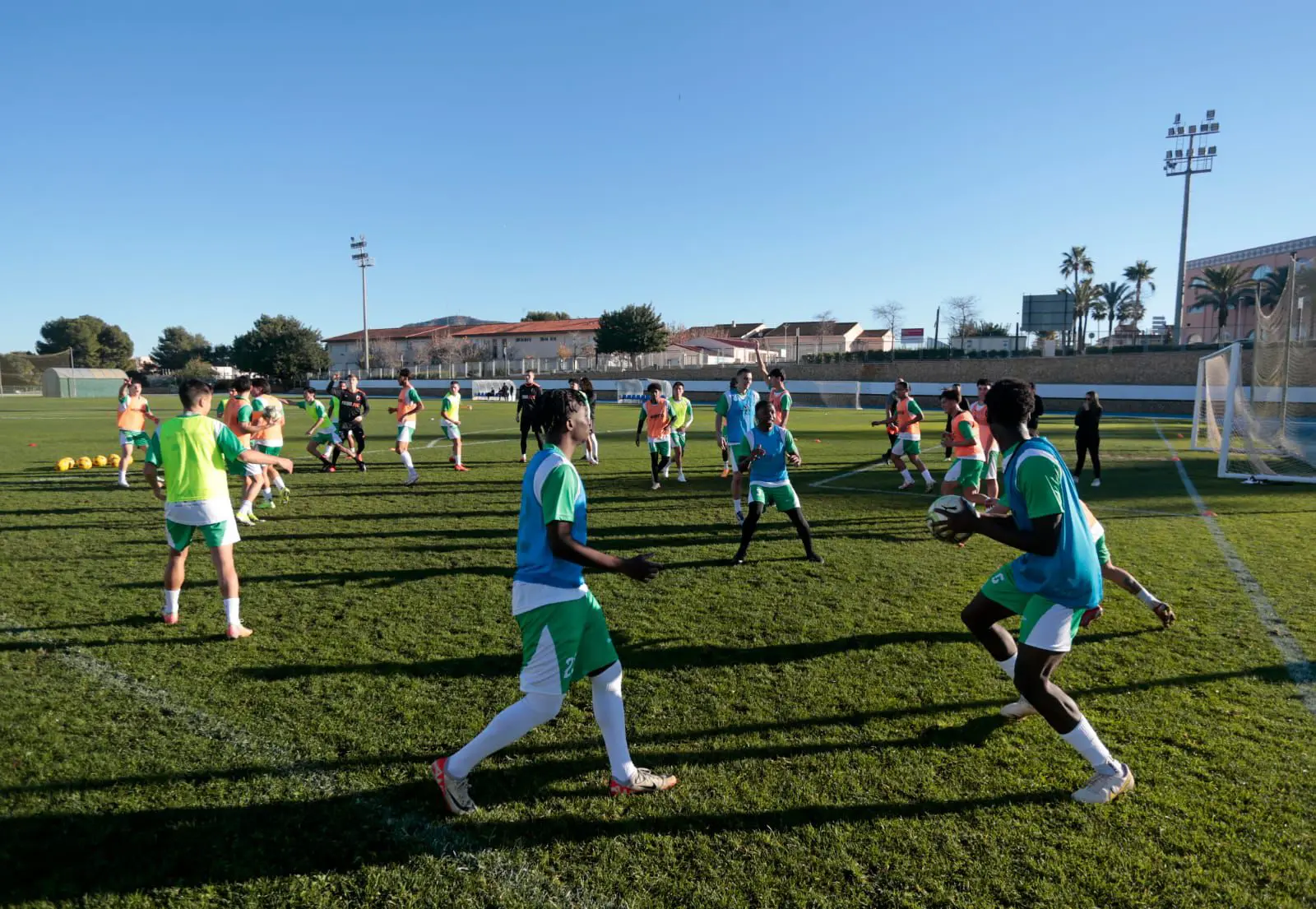 WhatsApp Image 2025-01-08 at 18.26.07 (2)