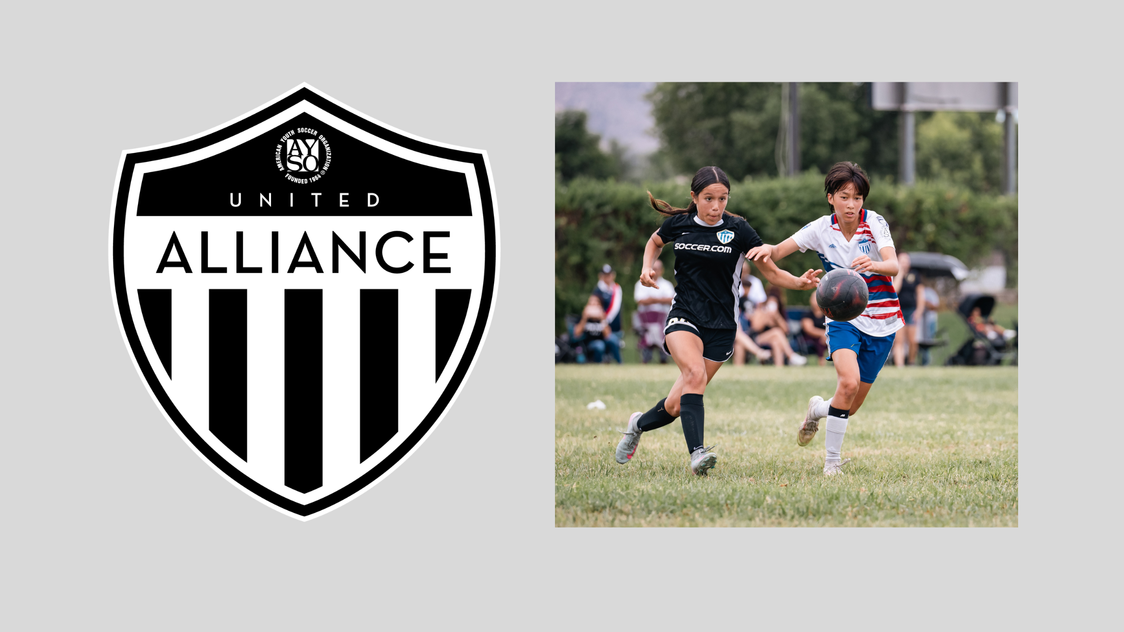 AYSO Alliance logo, Section 1. Players from AYSO Alliance competeing